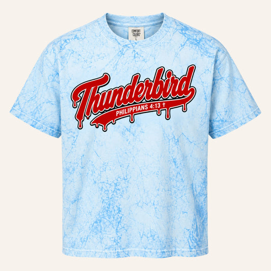 Watercolor Thunderbird