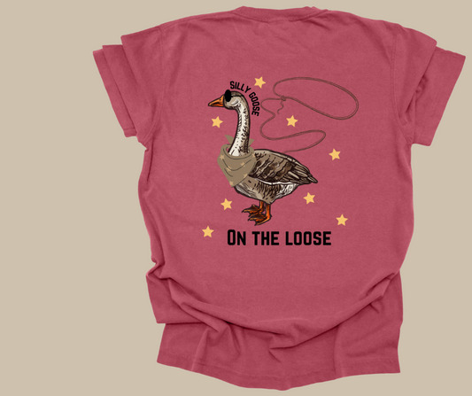 Silly Goose