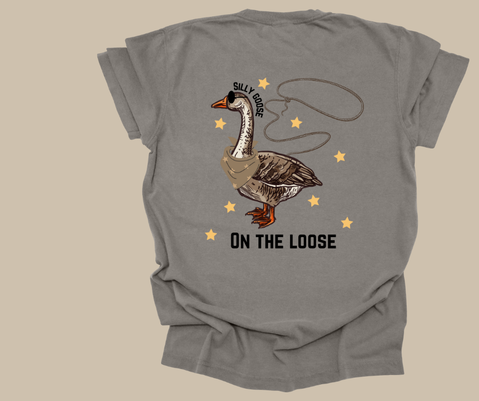 Silly Goose