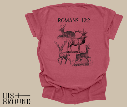 Romans 12:2