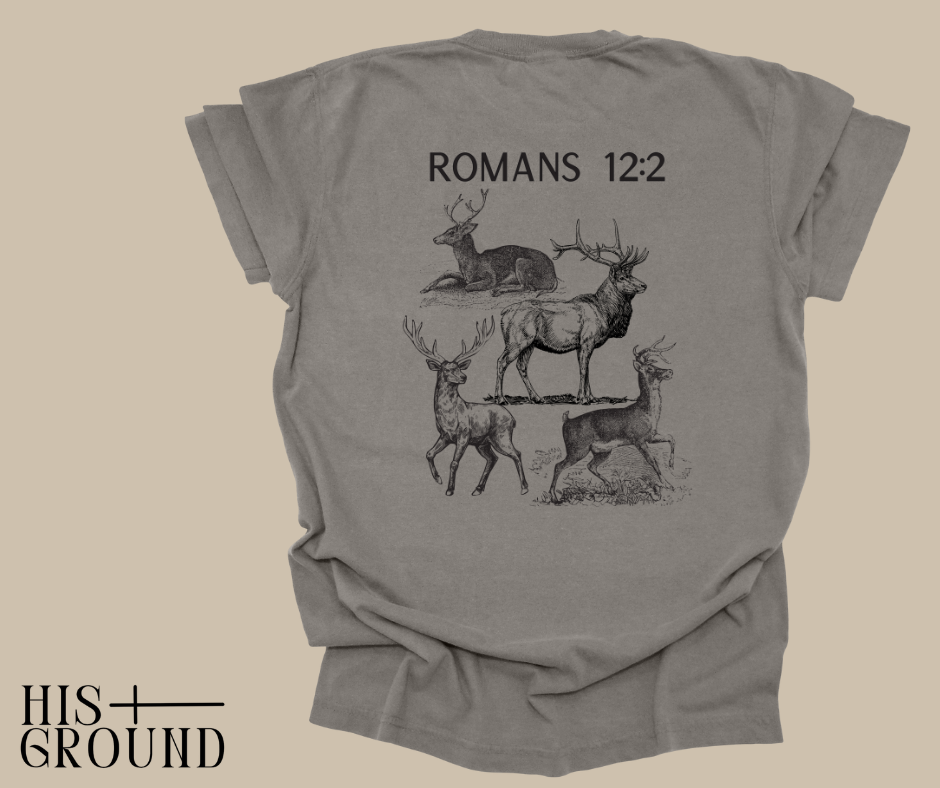 Romans 12:2