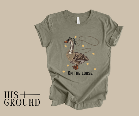 Silly Goose