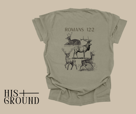 Romans 12:2