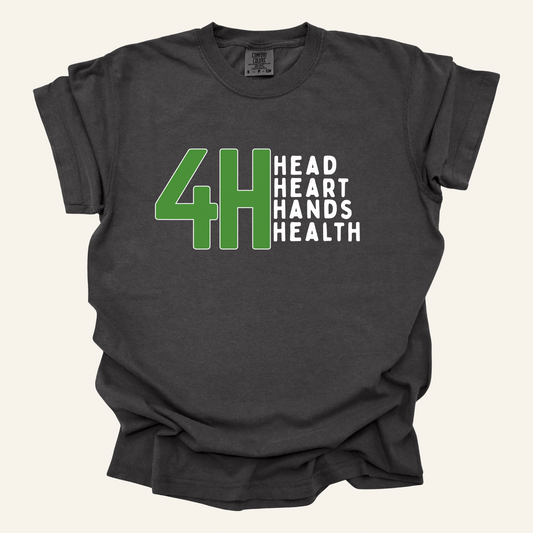 4-H