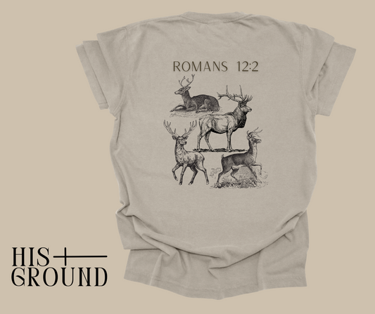Romans 12:2