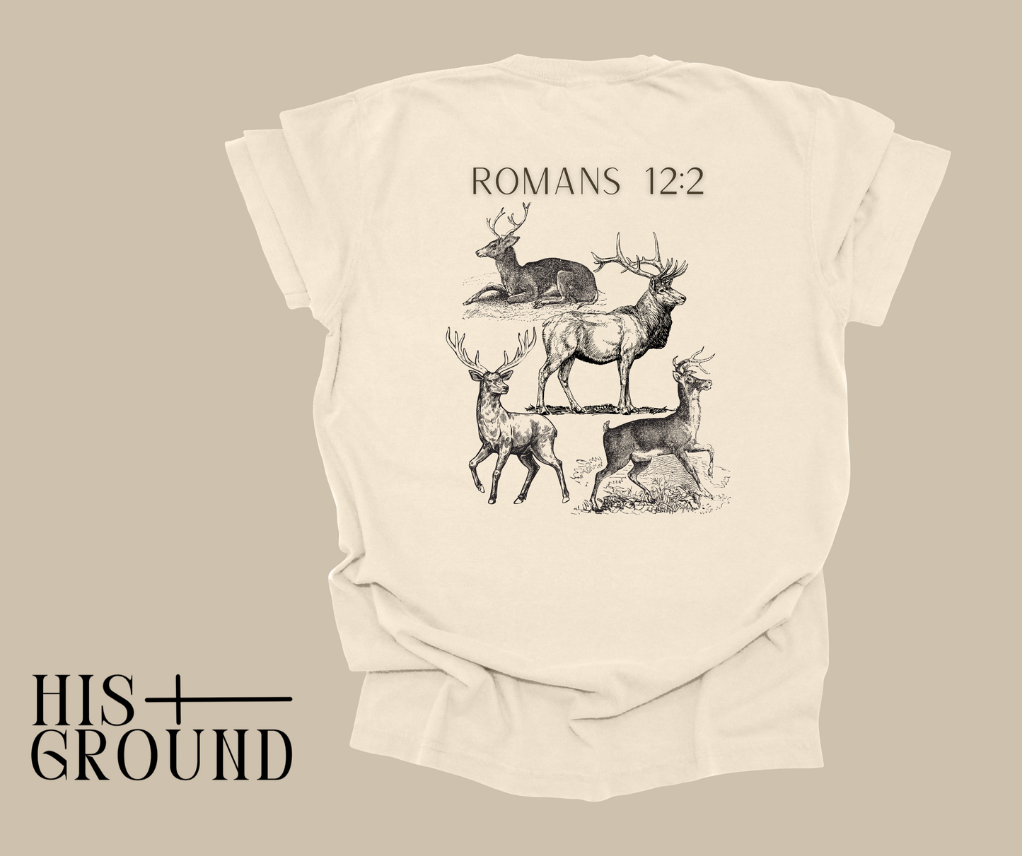 Romans 12:2